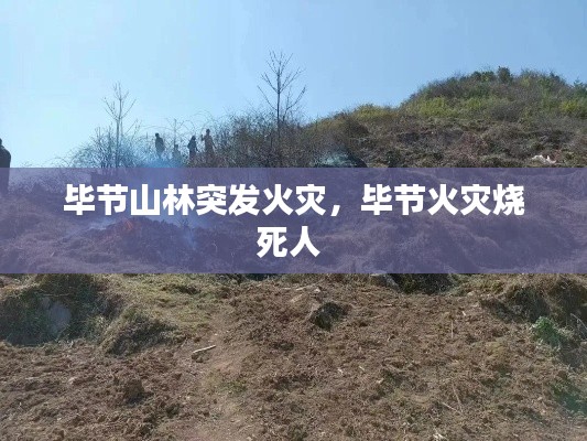 畢節(jié)山林突發(fā)火災(zāi)，畢節(jié)火災(zāi)燒死人 