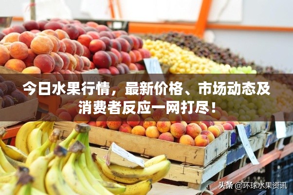 今日水果行情，最新價格、市場動態(tài)及消費者反應(yīng)一網(wǎng)打盡！
