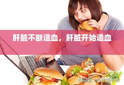 肝臟不斷造血，肝臟開(kāi)始造血 