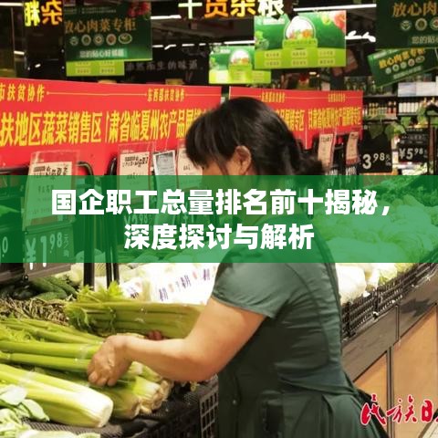國(guó)企職工總量排名前十揭秘，深度探討與解析