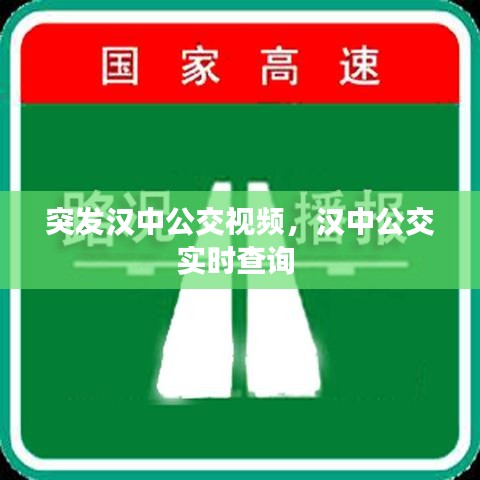 突發(fā)漢中公交視頻，漢中公交實時查詢 