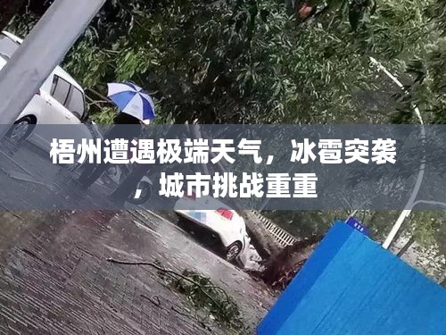 梧州遭遇極端天氣，冰雹突襲，城市挑戰(zhàn)重重