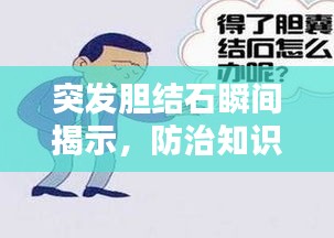 翰飛戾天 第2頁