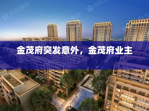 金茂府突發(fā)意外，金茂府業(yè)主 