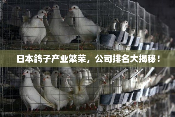 日本鴿子產(chǎn)業(yè)繁榮，公司排名大揭秘！