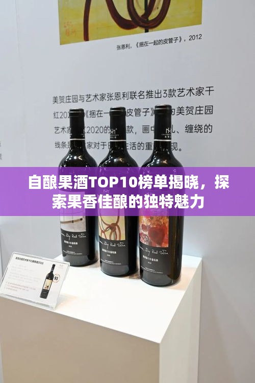 自釀果酒TOP10榜單揭曉，探索果香佳釀的獨(dú)特魅力