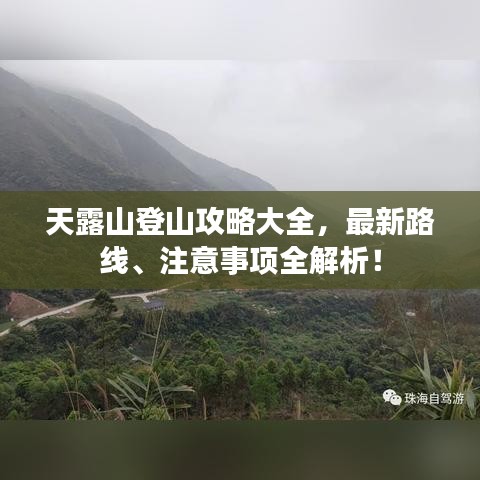 天露山登山攻略大全，最新路線、注意事項全解析！