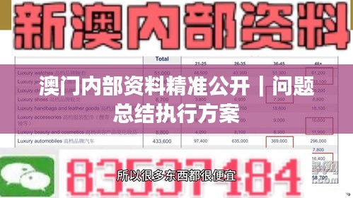 澳門(mén)內(nèi)部資料精準(zhǔn)公開(kāi)｜問(wèn)題總結(jié)執(zhí)行方案