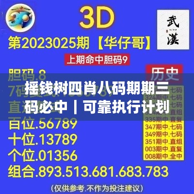 搖錢樹四肖八碼期期三碼必中｜可靠執(zhí)行計劃