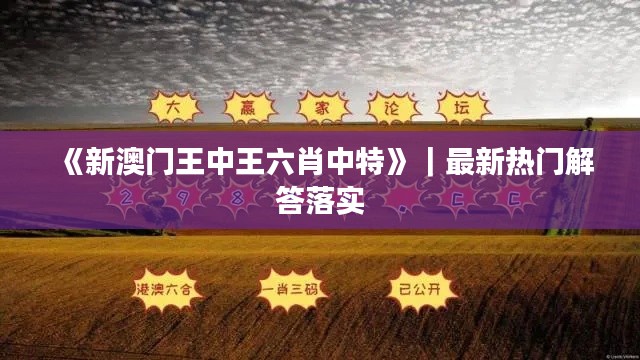 《新澳門王中王六肖中特》｜最新熱門解答落實(shí)