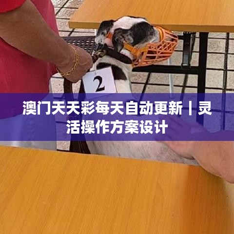 候鳥(niǎo)南飛 第2頁(yè)