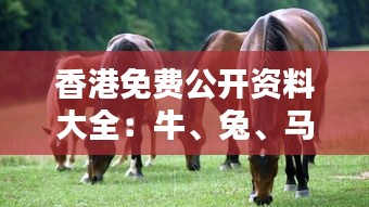 香港免費(fèi)公開資料大全：牛、兔、馬、雞，精選四肖