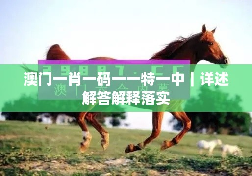 澳門一肖一碼一一特一中｜詳述解答解釋落實