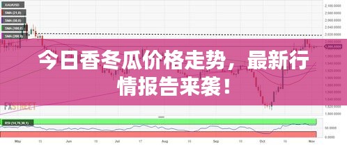 今日香冬瓜價格走勢，最新行情報告來襲！