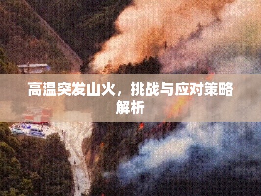 高溫突發(fā)山火，挑戰(zhàn)與應(yīng)對策略解析