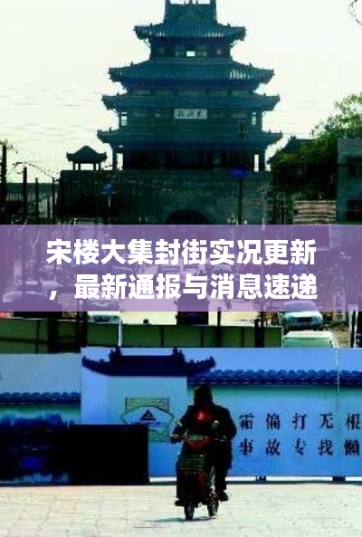 遠(yuǎn)山芙蓉 第2頁