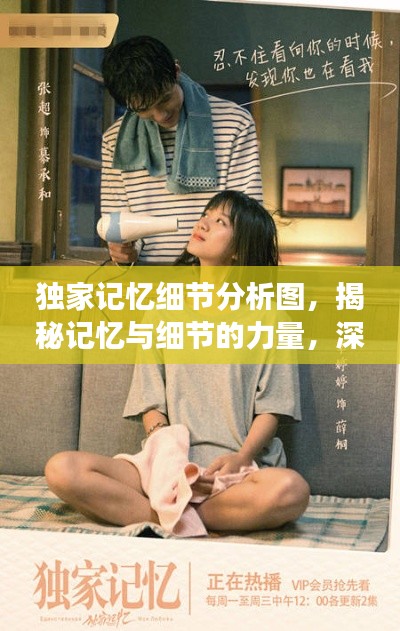 獨家記憶細節(jié)分析圖，揭秘記憶與細節(jié)的力量，深度解讀引人矚目