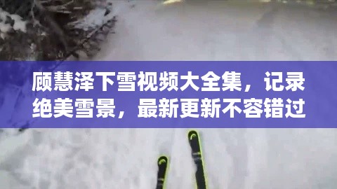 顧慧澤下雪視頻大全集，記錄絕美雪景，最新更新不容錯(cuò)過！
