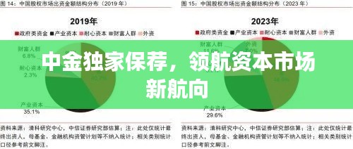 中金獨(dú)家保薦，領(lǐng)航資本市場(chǎng)新航向