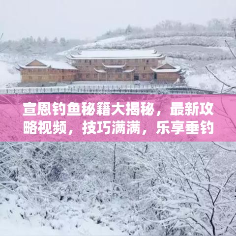 宣恩釣魚秘籍大揭秘，最新攻略視頻，技巧滿滿，樂享垂釣時光