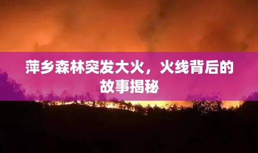 萍鄉(xiāng)森林突發(fā)大火，火線背后的故事揭秘