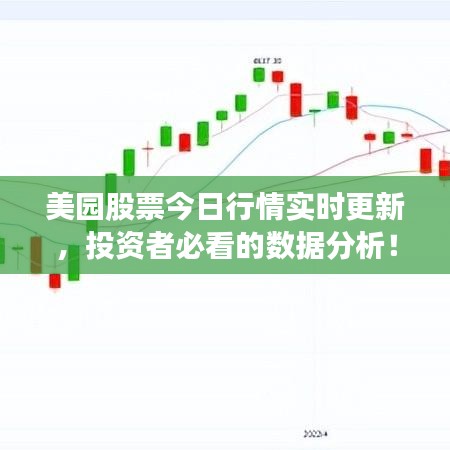 美園股票今日行情實(shí)時(shí)更新，投資者必看的數(shù)據(jù)分析！