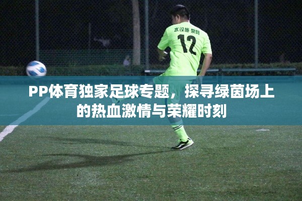 PP體育獨家足球?qū)ｎ}，探尋綠茵場上的熱血激情與榮耀時刻