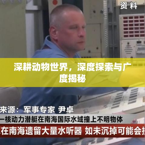 深耕動(dòng)物世界，深度探索與廣度揭秘