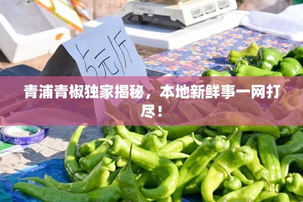 青浦青椒獨(dú)家揭秘，本地新鮮事一網(wǎng)打盡！