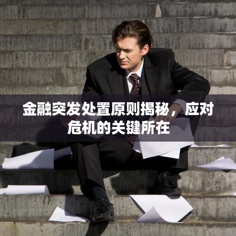 金融突發(fā)處置原則揭秘，應(yīng)對危機(jī)的關(guān)鍵所在