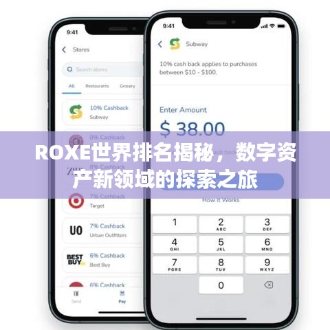 ROXE世界排名揭秘，數(shù)字資產(chǎn)新領(lǐng)域的探索之旅