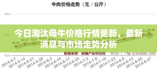 今日淘汰母牛價格行情更新，最新消息與市場走勢分析