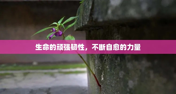 博古通今 第2頁