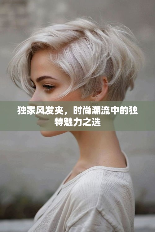 獨家風(fēng)發(fā)夾，時尚潮流中的獨特魅力之選