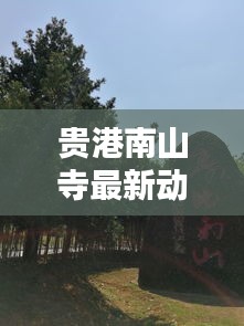 樸素無華 第2頁