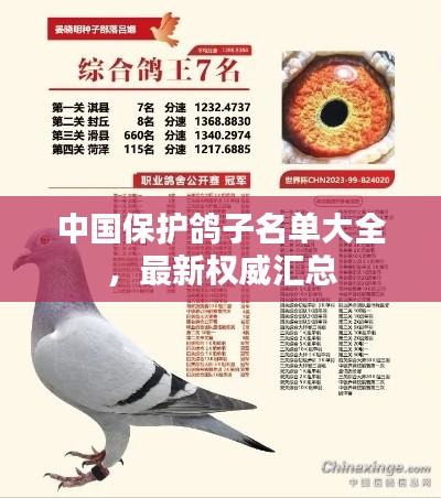 中國保護(hù)鴿子名單大全，最新權(quán)威匯總