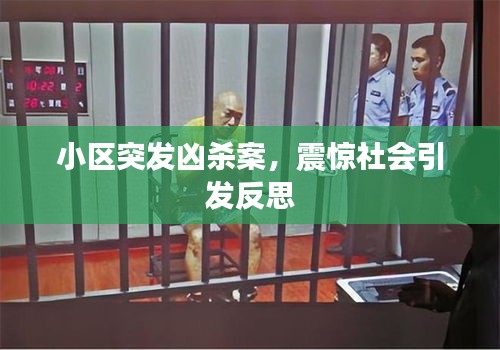 小區(qū)突發(fā)兇殺案，震驚社會引發(fā)反思