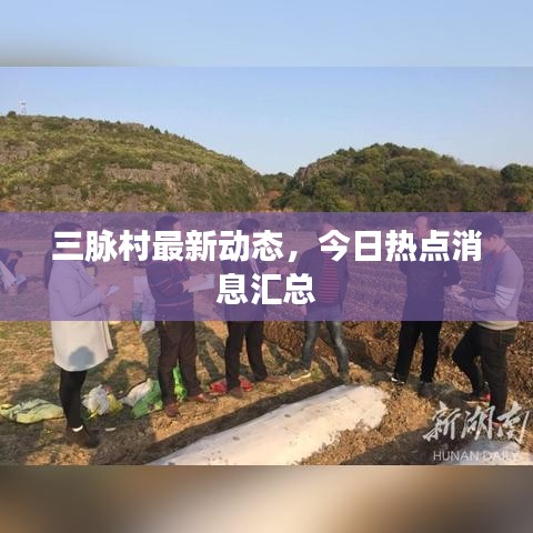 三脈村最新動態(tài)，今日熱點消息匯總