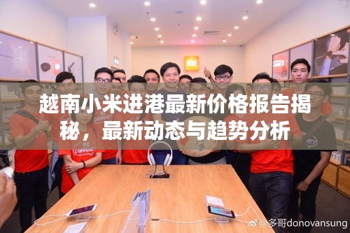 越南小米進(jìn)港最新價(jià)格報(bào)告揭秘，最新動(dòng)態(tài)與趨勢(shì)分析