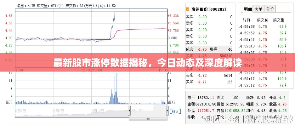 最新股市漲停數(shù)據(jù)揭秘，今日動態(tài)及深度解讀