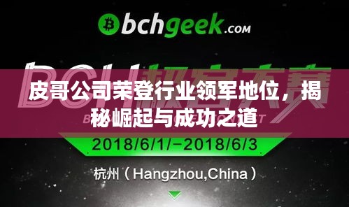 皮哥公司榮登行業(yè)領(lǐng)軍地位，揭秘崛起與成功之道