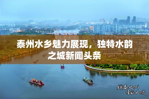 泰州水鄉(xiāng)魅力展現(xiàn)，獨(dú)特水韻之城新聞?lì)^條