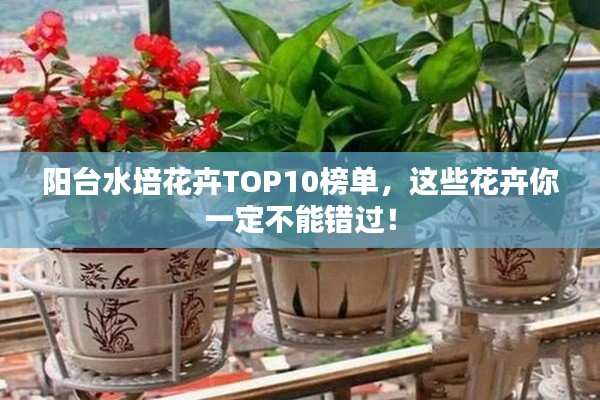 陽(yáng)臺(tái)水培花卉TOP10榜單，這些花卉你一定不能錯(cuò)過(guò)！