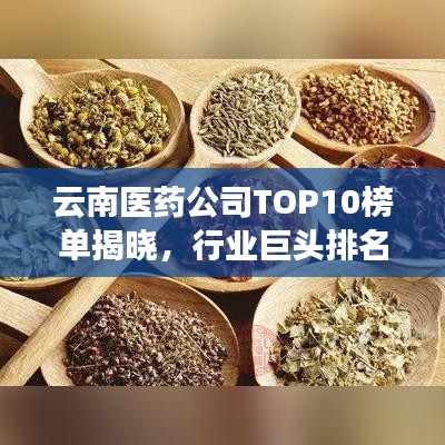 云南醫(yī)藥公司TOP10榜單揭曉，行業(yè)巨頭排名一覽