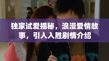 獨家試愛揭秘，浪漫愛情故事，引人入勝劇情介紹