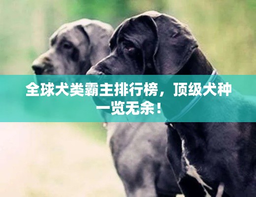 全球犬類(lèi)霸主排行榜，頂級(jí)犬種一覽無(wú)余！