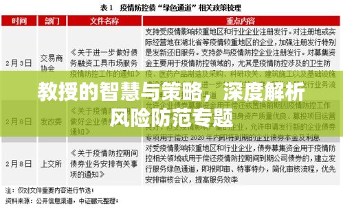 教授的智慧與策略，深度解析風(fēng)險(xiǎn)防范專題