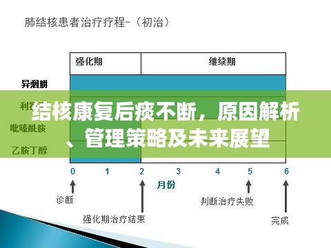 結(jié)核康復(fù)后痰不斷，原因解析、管理策略及未來(lái)展望