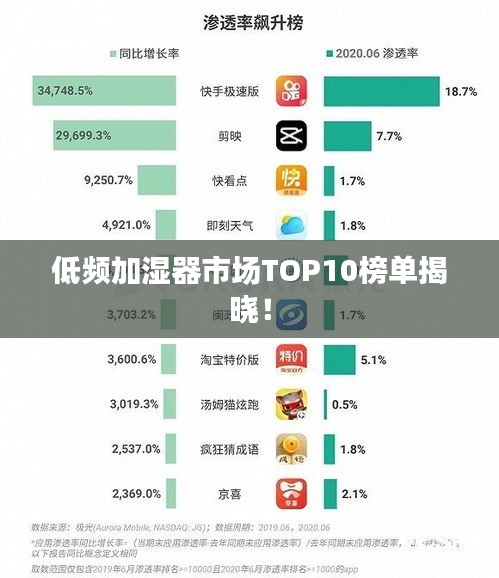 低頻加濕器市場TOP10榜單揭曉！