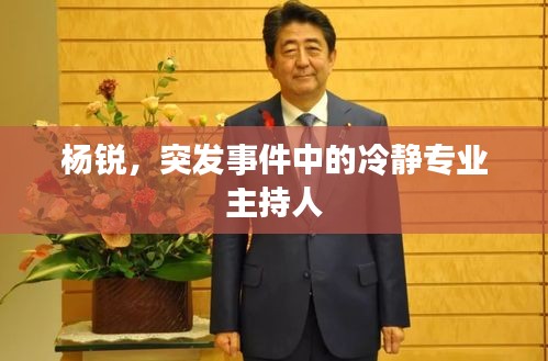 楊銳，突發(fā)事件中的冷靜專業(yè)主持人